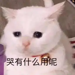 如何用一句话概括你的专业够沙雕