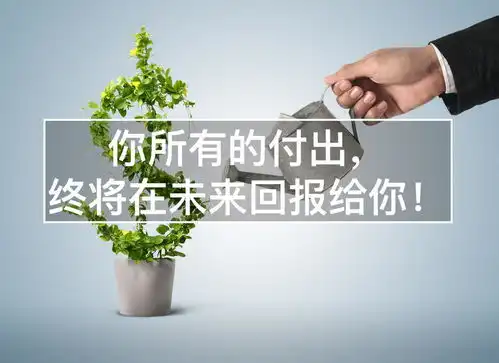 你所有的付出,终将在未来回报给你