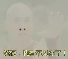 雾霾表情包,紫薇我看不见你了