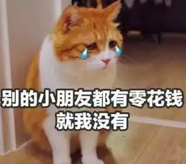 攻守道,你看了吗