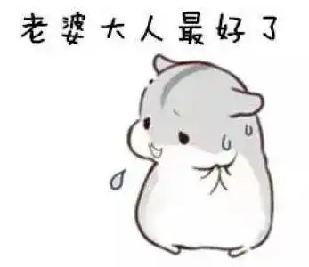 哄老婆表情包大全老婆大人对不起好喜欢老婆我老婆超级可爱