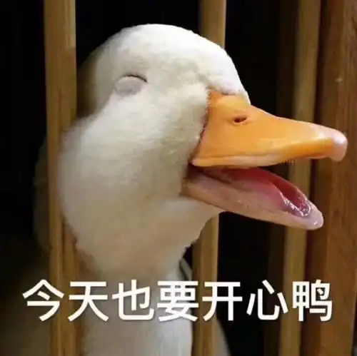 甜蜜七夕开心ol缤纷夏日祭欢乐来袭