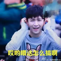 张艺兴表情包