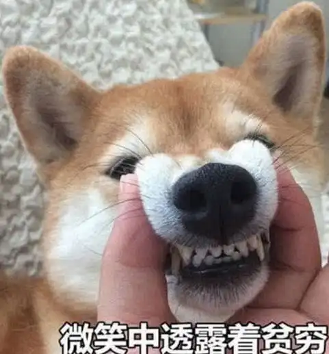 回暖啦无锡最高温将升至但还得注意