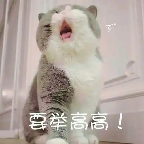 没有拖延症,效率100分的星座