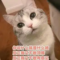 暑假想不被嫌弃,那是不可能的