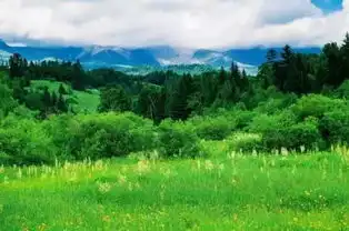 看过之后才知道,夏天的长白山原来这么美