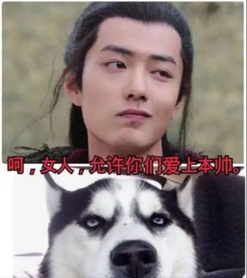 狼殿下撞脸大赏,演员表情各异,莫不是一部喜之郎