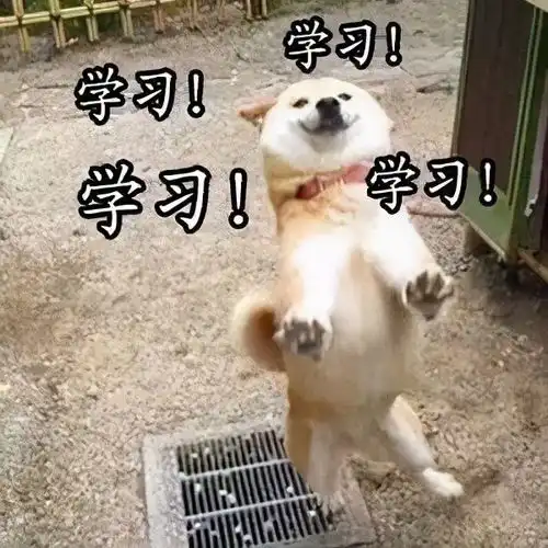 视频时代,文章真的过时了吗