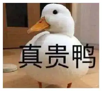 王珞丹深夜发文帮同事寻宠物鸭结果贼找到了,但鸭没了