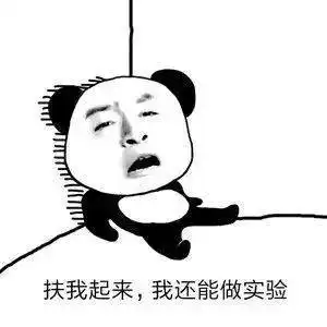 一大波科研人专属表情包来袭果然最懂我的还是表情包