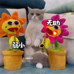 微信沙雕表情包其实并不复杂,爱是啰嗦,不爱是冷漠