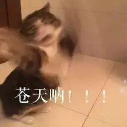 下雨啦,收衣服啦,万州人搞快点回家哟雷电大风今晚就到....