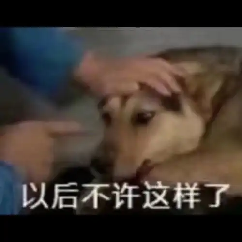 沙雕表情包谁懂宝心里的苦