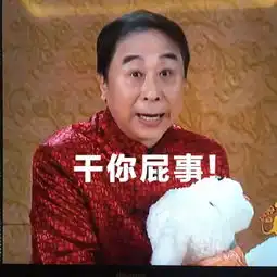 2016年猴年央视春晚段子手大赛优秀作品展