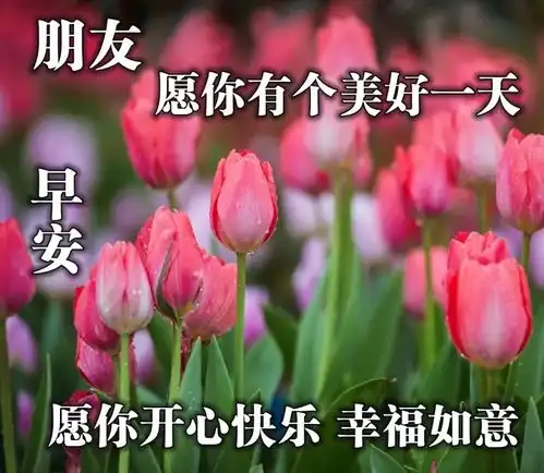 漂亮早上好问候语祝福表情图片早上好短信祝福语录最新版
