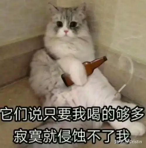 番外说书人