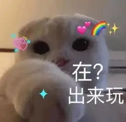 全新猫咪表情包,快快收藏