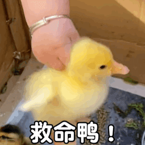 胆子太大国家机密被轻松咨询盗走,这家公司竟是间谍帮凶,仅四年接受境外公司汇款超7000万美金