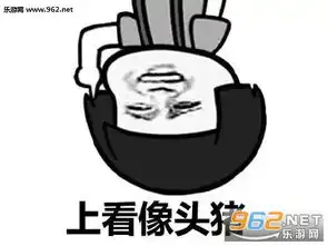 你左看像白痴右看像傻子表情包下载乐游网游戏下载