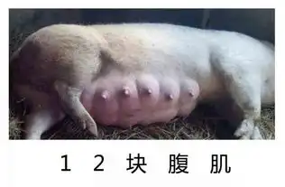 只要你用心体会,生活处处都是惊喜