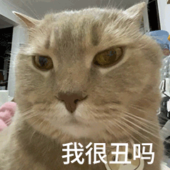 表情包让你不回我消息