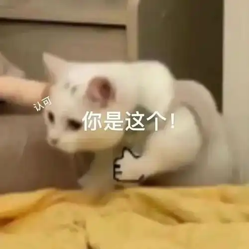 李佳琦直播到一半去做核酸,上海人民偶买嘎,捅他捅他哈哈哈哈哈哈