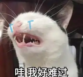 家养的猫很干净,不用驱虫知道真相的我眼泪掉下来