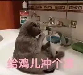 日常吸猫系列表情包,废猫扶不上墙