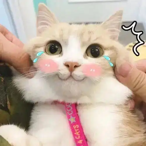 洗澡时脱光了衣服,热水器跳闸了怎么办