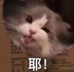 最新笑料合集,哈哈哈哈哈哈哈哈哈哈哈哈哈都进来笑啊