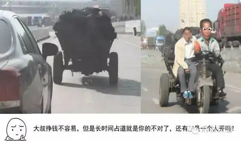 讲真,不遵守交通规则的人会变成表情包,不信你看