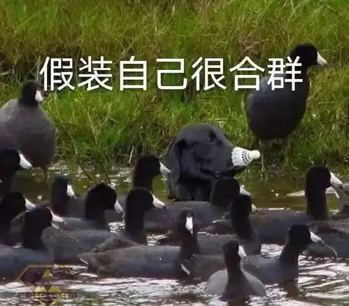 女生如何判断自己是否肌肉腿和腿弯
