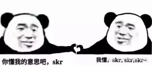 表情skr表情包知乎表情