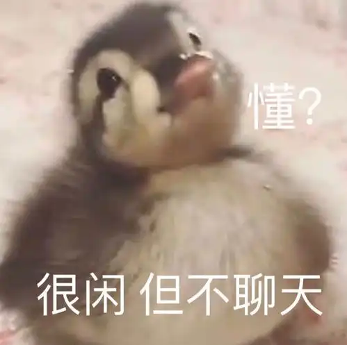 沙雕表情包l你年龄大了我原谅你
