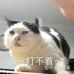 有哪些怼男朋友的表情包