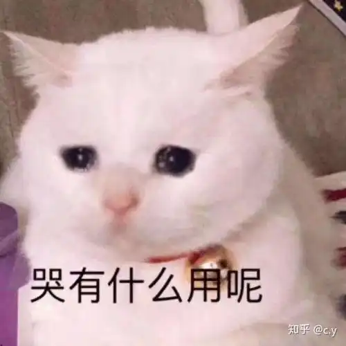 顶级数学家有多厉害