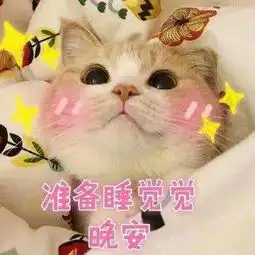 猫咪表情包今天也是元气满满的一天