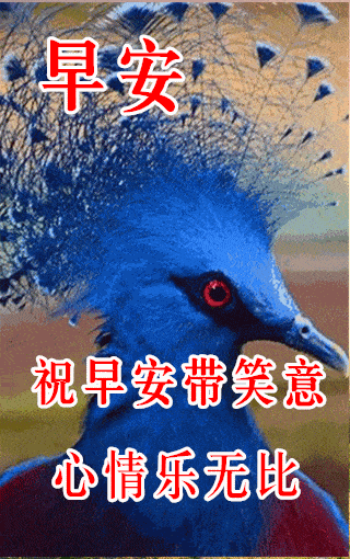 10月30日最漂亮早上好动态表情图片大全,早晨好动图美图大全