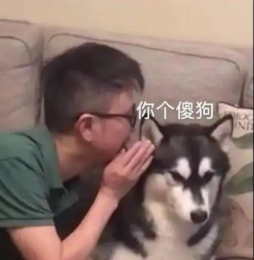 今日表情推荐,826