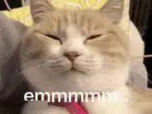 你只会说emm...老外更爱用这6种高级的表达