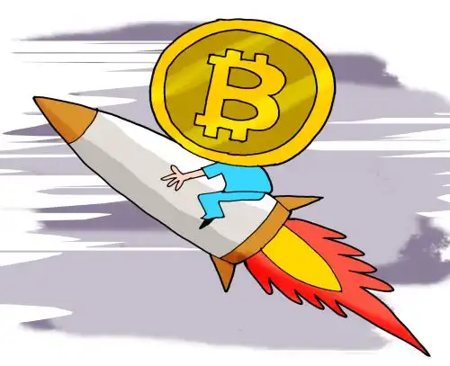 渐凉的比特币现状新韭菜又来了