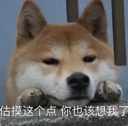 搞笑gif我都睡醒了,你怎么还没理完