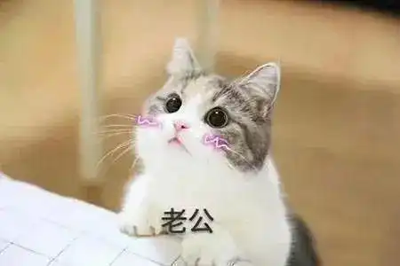 一组适合向男票撒娇的超甜表情包