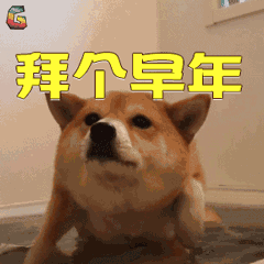 污污的表情包动态祝福语