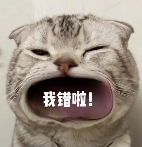 张大嘴等投喂猫咪表情包,妈宝女爸宝女表情包