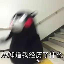 留学生最讨厌被问到的问题,你中了几枪