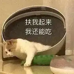 干饭人必备沙雕文案干饭都是人上人