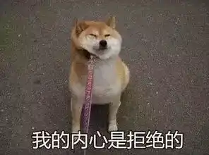 羡慕最长63天贵州省中小学高校寒假放假时间定了