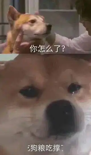 第五十五期七夕有我你不孤